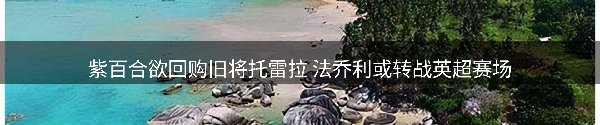 最新资讯