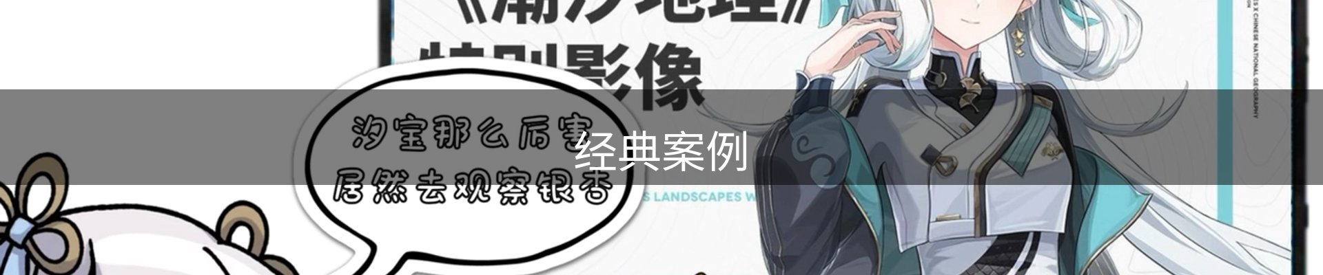 经典案例